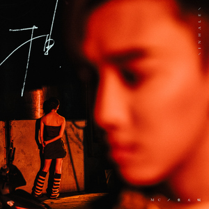 阿德征服1—5部曲
