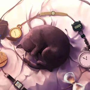 阿德征服1—5部曲
