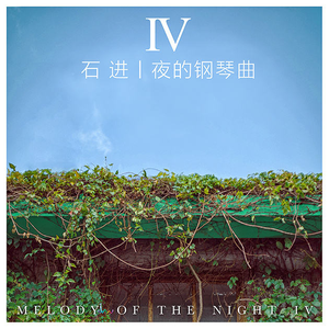 阿德征服1—5部曲
